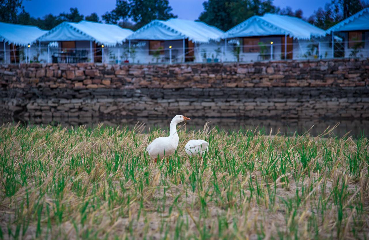 Padmavati Lake Resort Chittorgarh Exterior foto